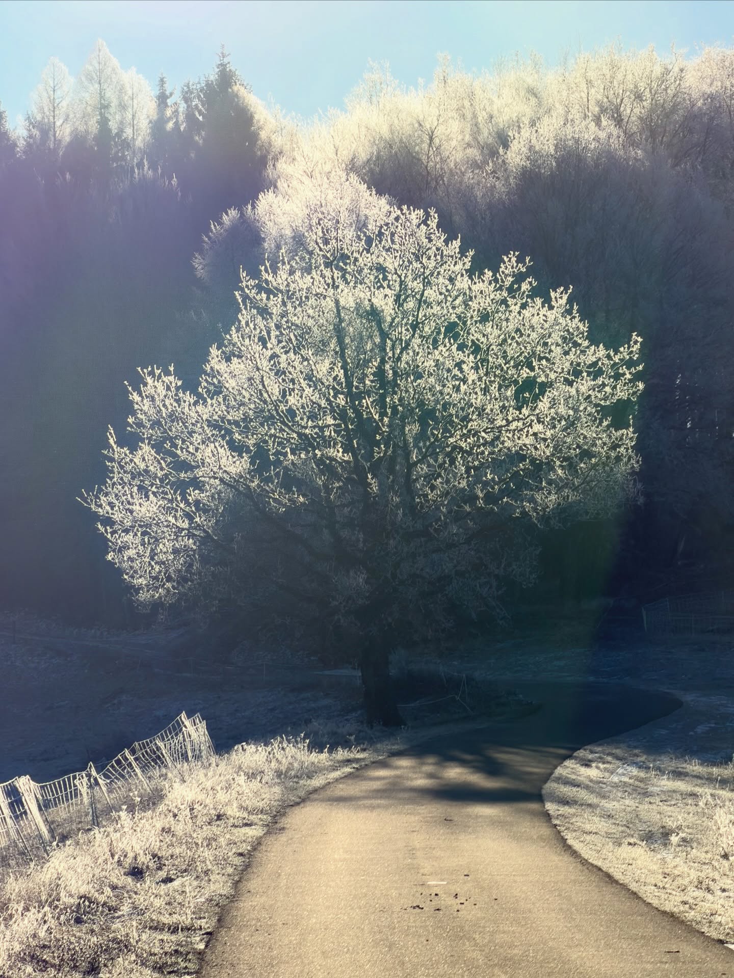 dobré ráno z hor! #iphone17pro