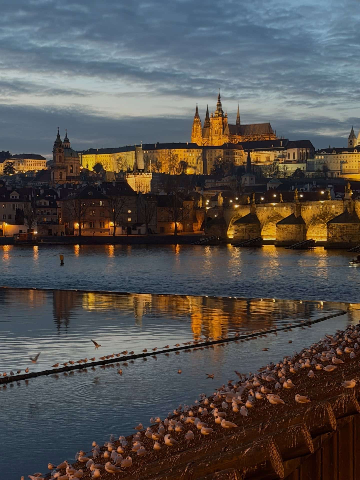 Dnes večer bylo opravdu dokonalé světlo! #praha #iphone17pro #noedit
