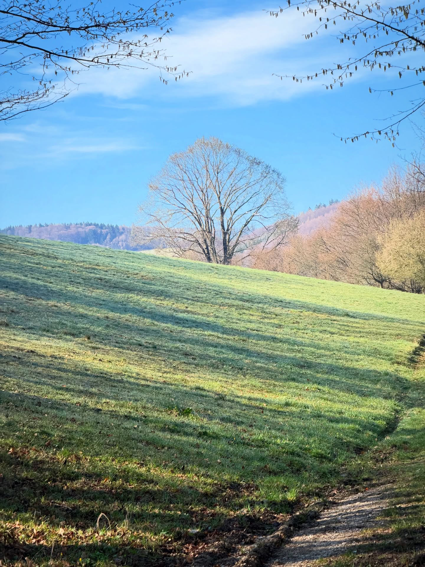 Dobré ráno z Valašska!